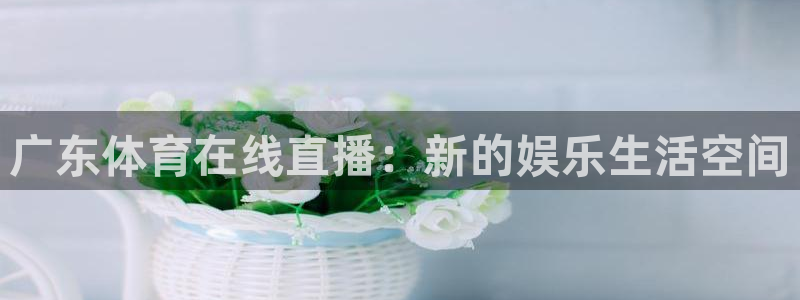 广东体育在线直播：新的娱乐生活空间