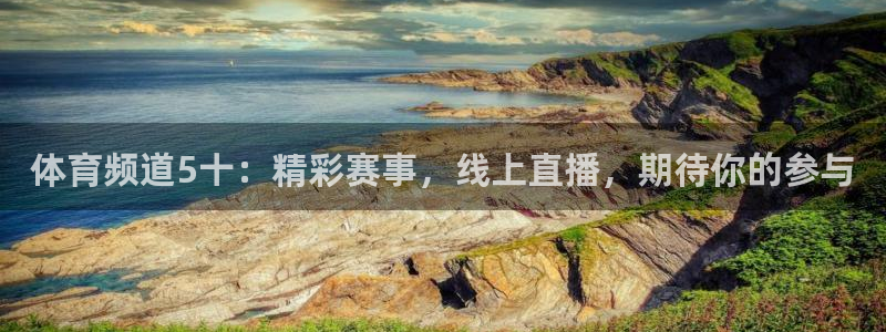 体育频道5十：精彩赛事，线上直播，期待你的参与
