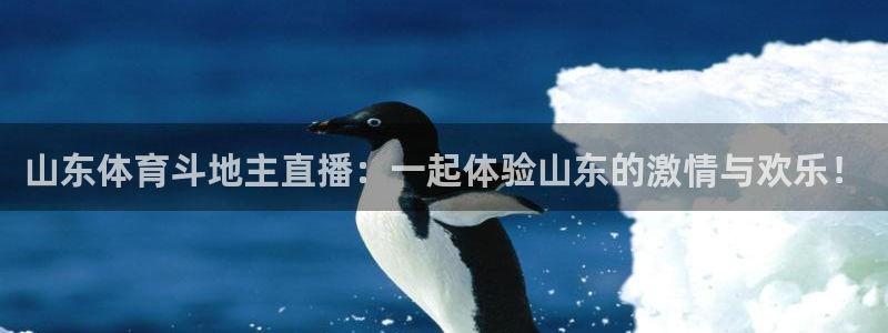 山东体育斗地主直播：一起体验山东的激情与欢乐！