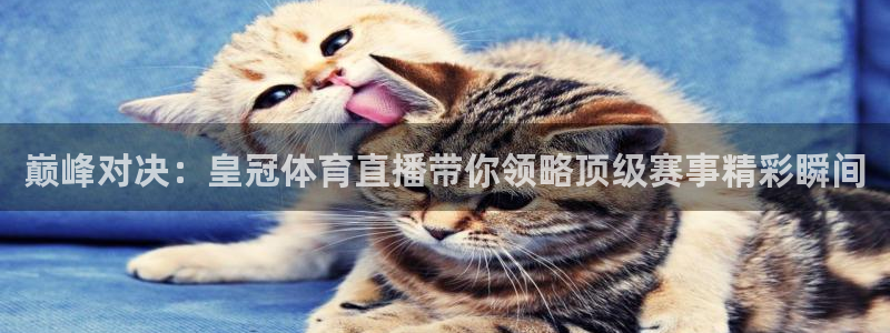 巅峰对决：皇冠体育直播带你领略顶级赛事精彩瞬间