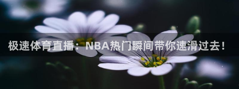 极速体育直播：NBA热门瞬间带你速滑过去！