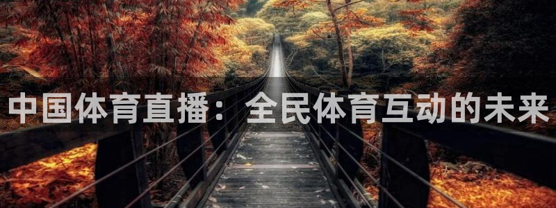 中国体育直播：全民体育互动的未来