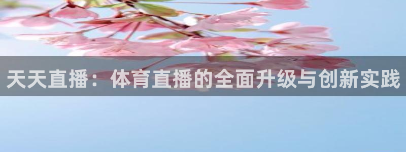 天天直播：体育直播的全面升级与创新实践