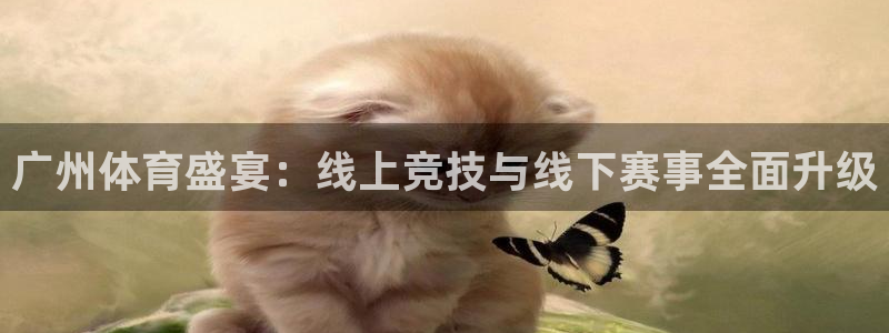 广州体育盛宴：线上竞技与线下赛事全面升级