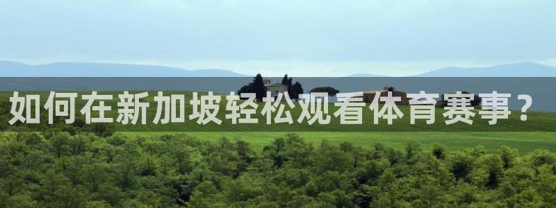 如何在新加坡轻松观看体育赛事？