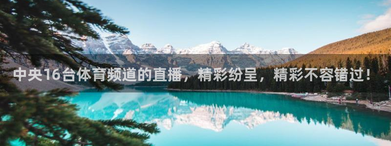 中央16台体育频道的直播，精彩纷呈，精彩不容错过！