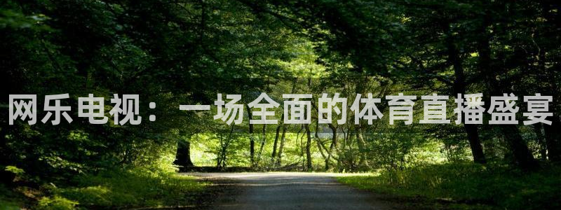 网乐电视：一场全面的体育直播盛宴