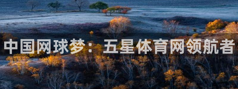 中国网球梦：五星体育网领航者