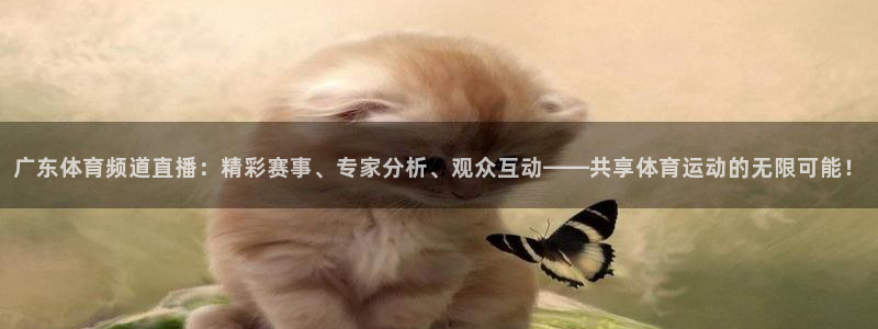 广东体育频道直播：精彩赛事、专家分析、观众互动——共享体育运动的无限可能！