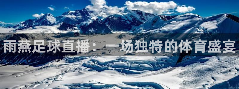 雨燕足球直播：一场独特的体育盛宴