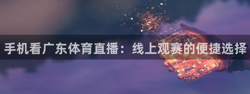 手机看广东体育直播：线上观赛的便捷选择