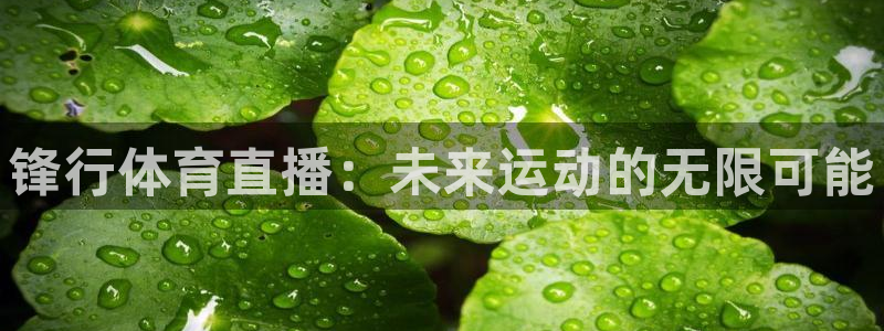 锋行体育直播：未来运动的无限可能
