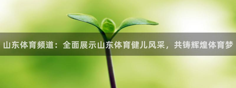 山东体育频道：全面展示山东体育健儿风采，共铸辉煌体育梦