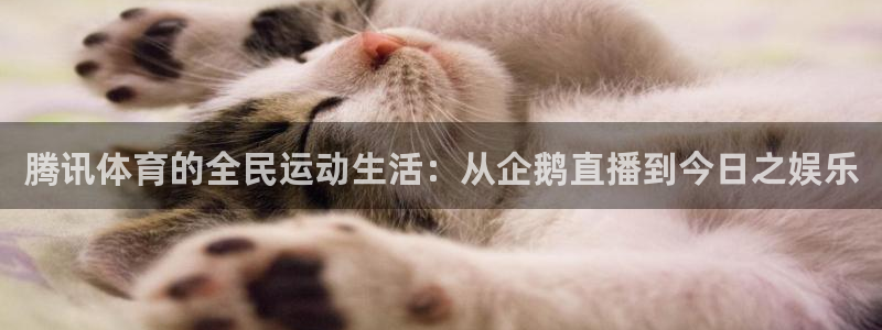 腾讯体育的全民运动生活：从企鹅直播到今日之娱乐