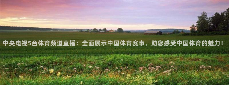 中央电视5台体育频道直播：全面展示中国体育赛事，助您感受中国体育的魅力！