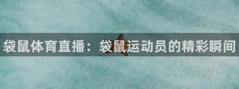 袋鼠体育直播：袋鼠运动员的精彩瞬间
