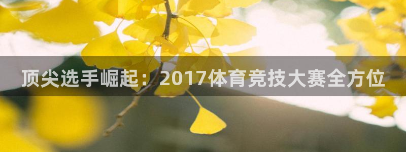 顶尖选手崛起：2017体育竞技大赛全方位