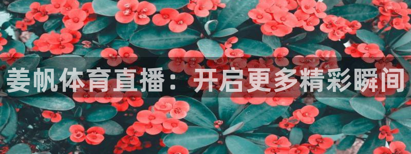 姜帆体育直播：开启更多精彩瞬间