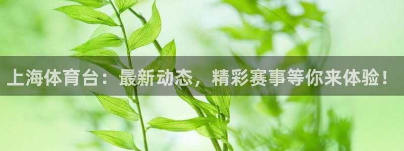 上海体育台：最新动态，精彩赛事等你来体验！