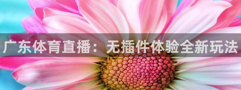 广东体育直播：无插件体验全新玩法